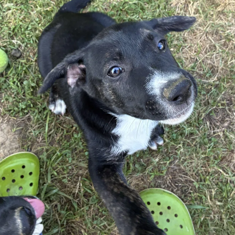 Zuko