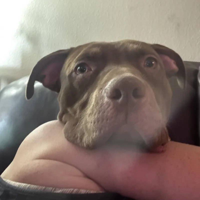 Georgia thumbnail 5