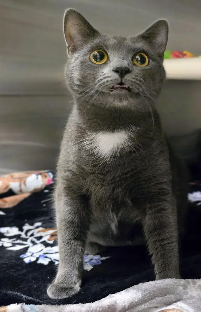 Mimi thumbnail 3