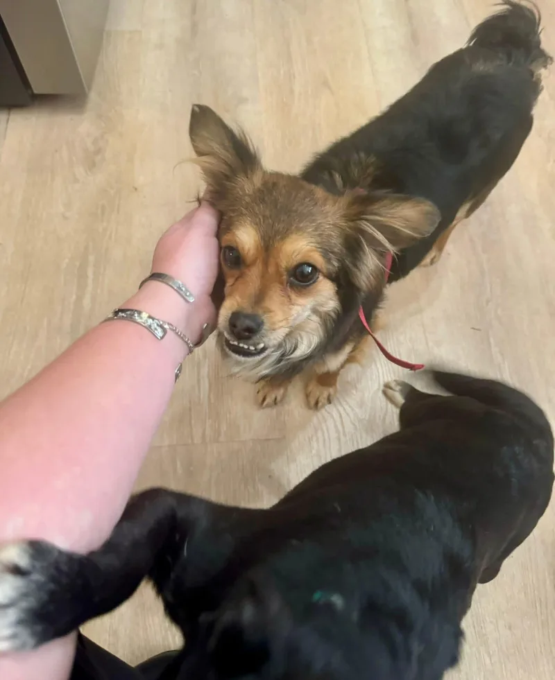 Clementine thumbnail 2