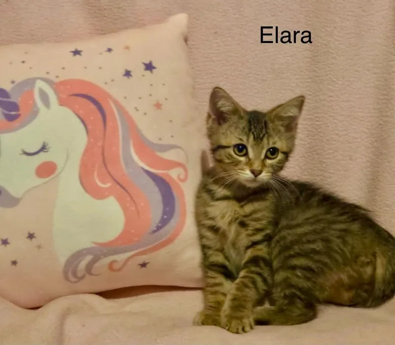 Elara thumbnail 3