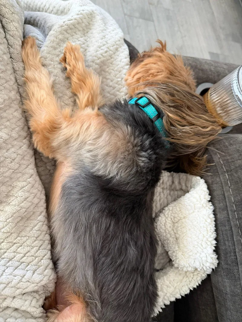 Milo