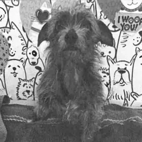 Little A thumbnail 6