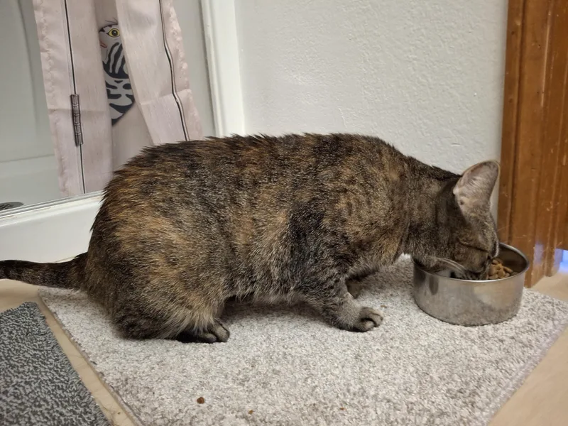 O'malley thumbnail 2