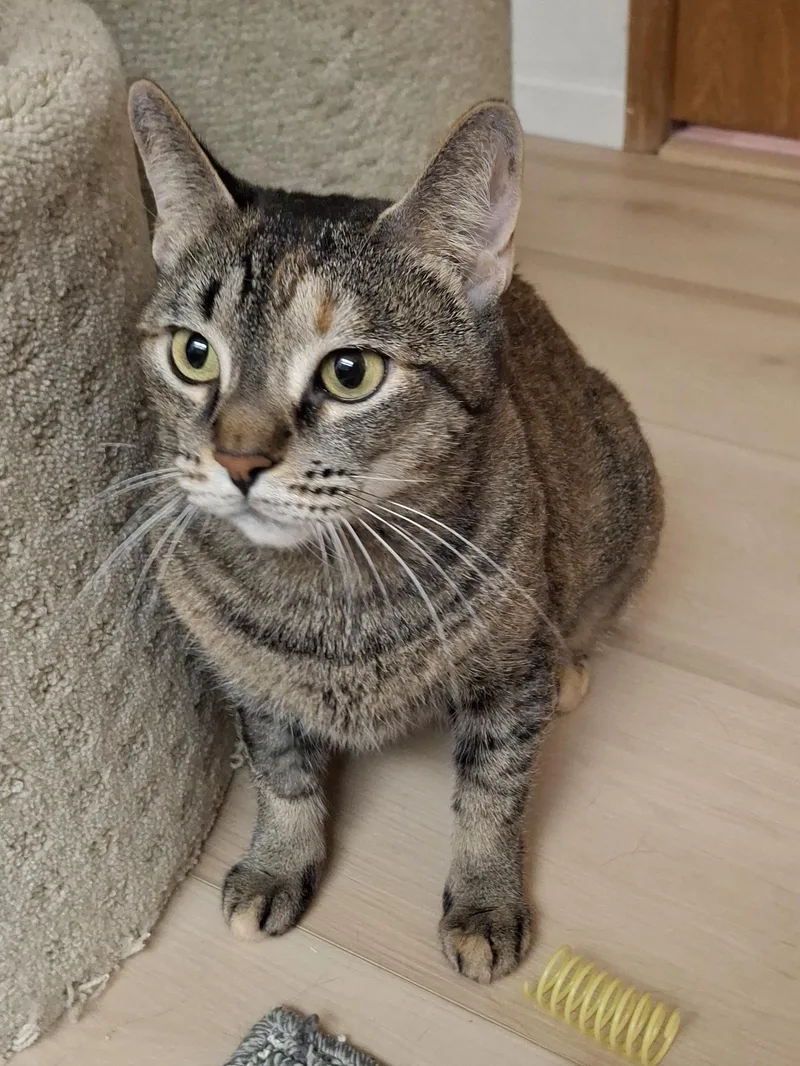 O'malley thumbnail 3