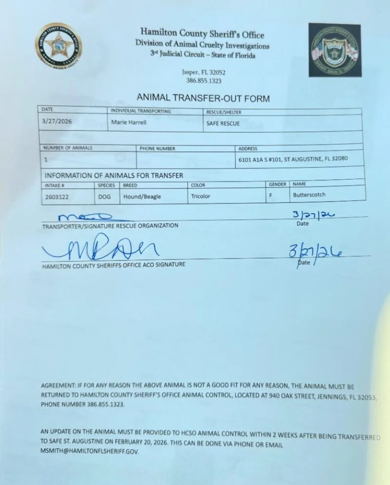 Butterscotch thumbnail 2