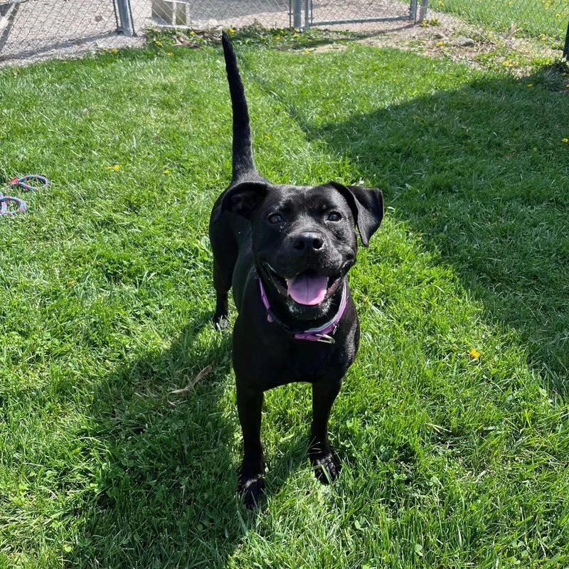 More Than Octomom thumbnail 2