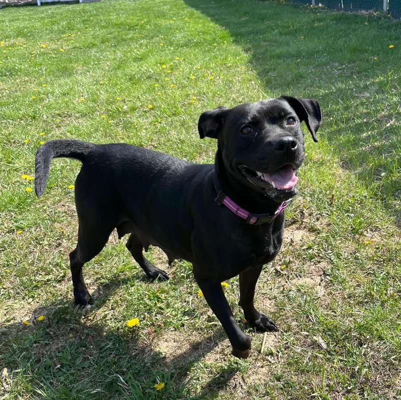 More Than Octomom thumbnail 3