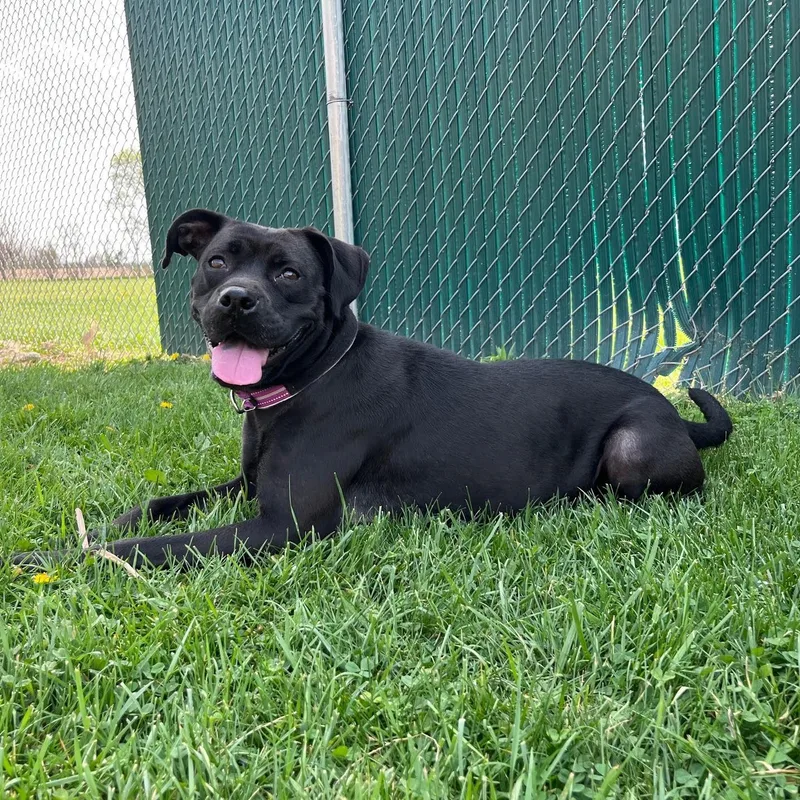 More Than Octomom thumbnail 5