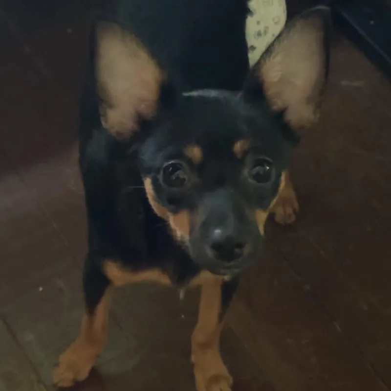 Tucker thumbnail 2