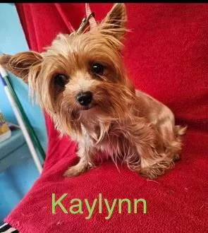 Kaylynn