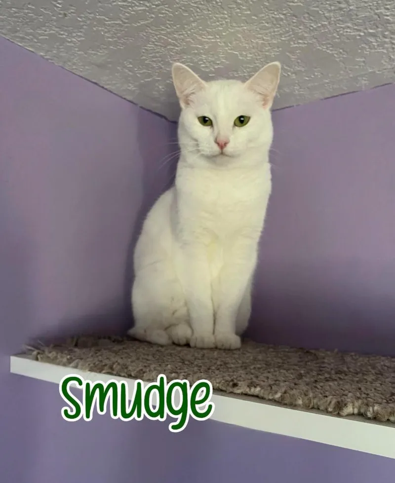 Smudge