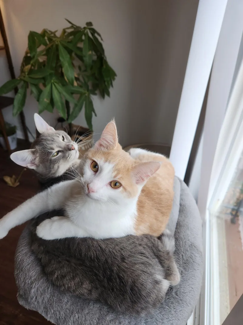 Jackie & Wilson thumbnail 2
