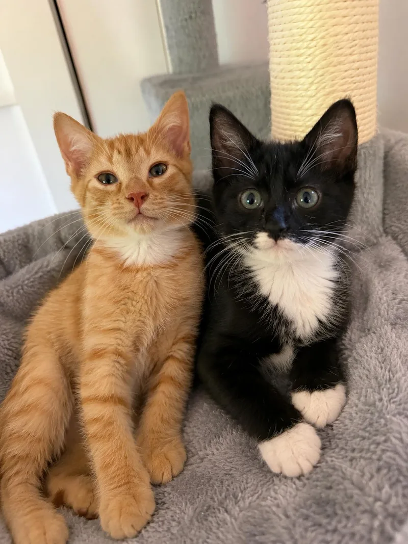Skipper&sailor