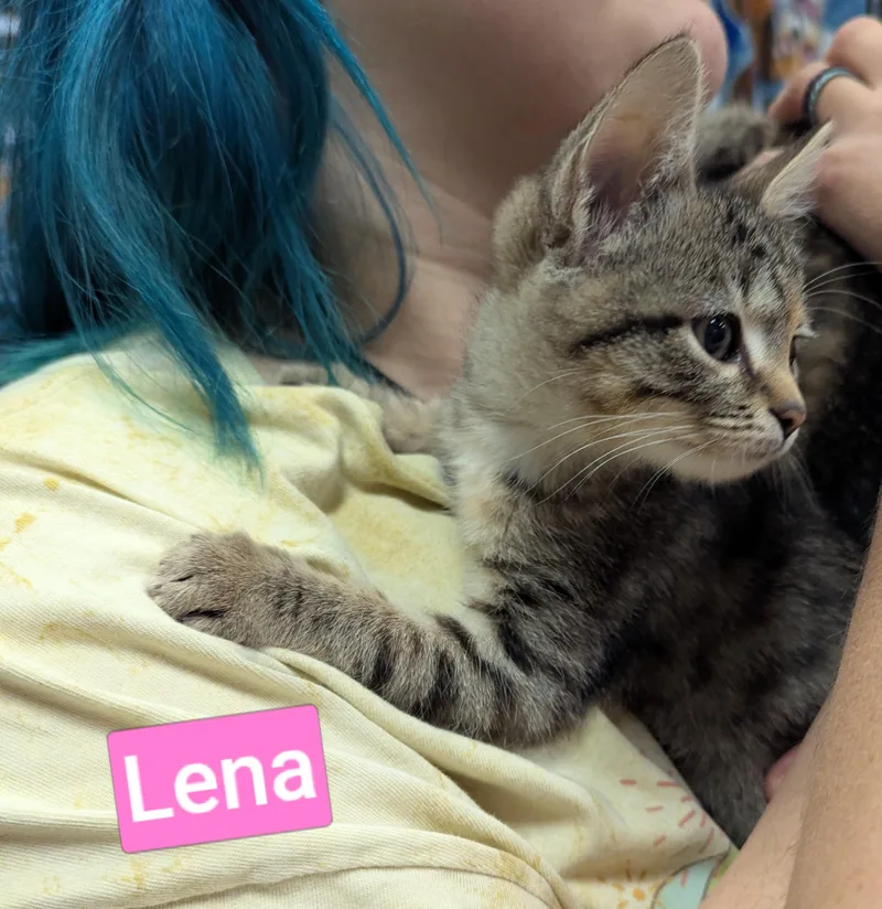 Lena thumbnail 3