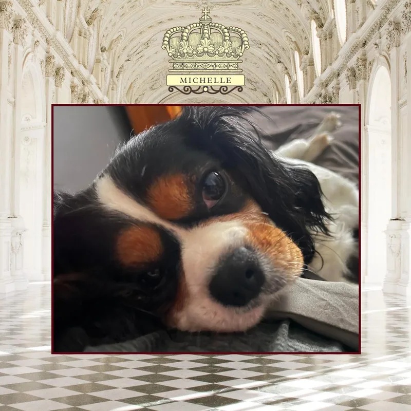 Michelle thumbnail 5