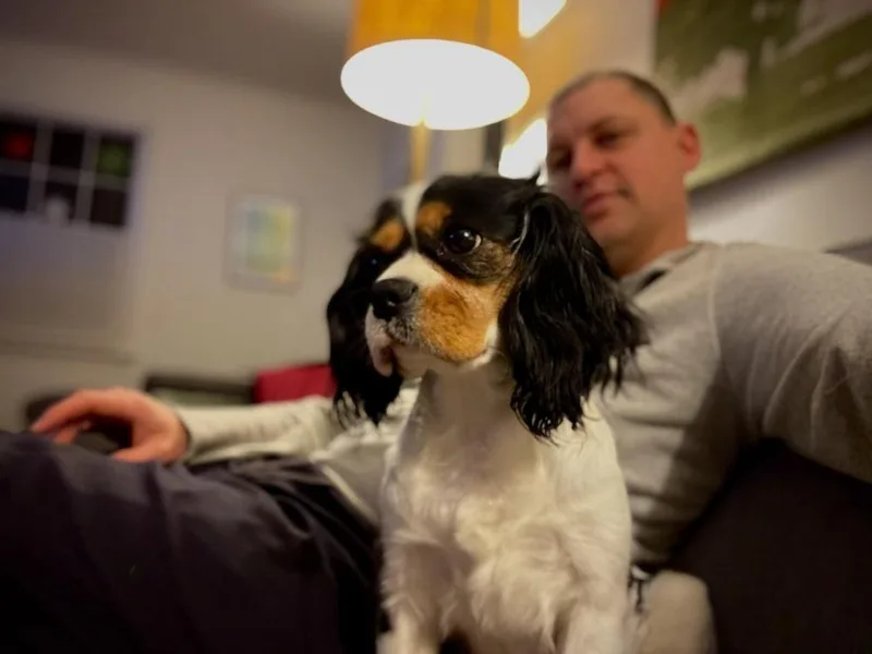 Michelle thumbnail 6