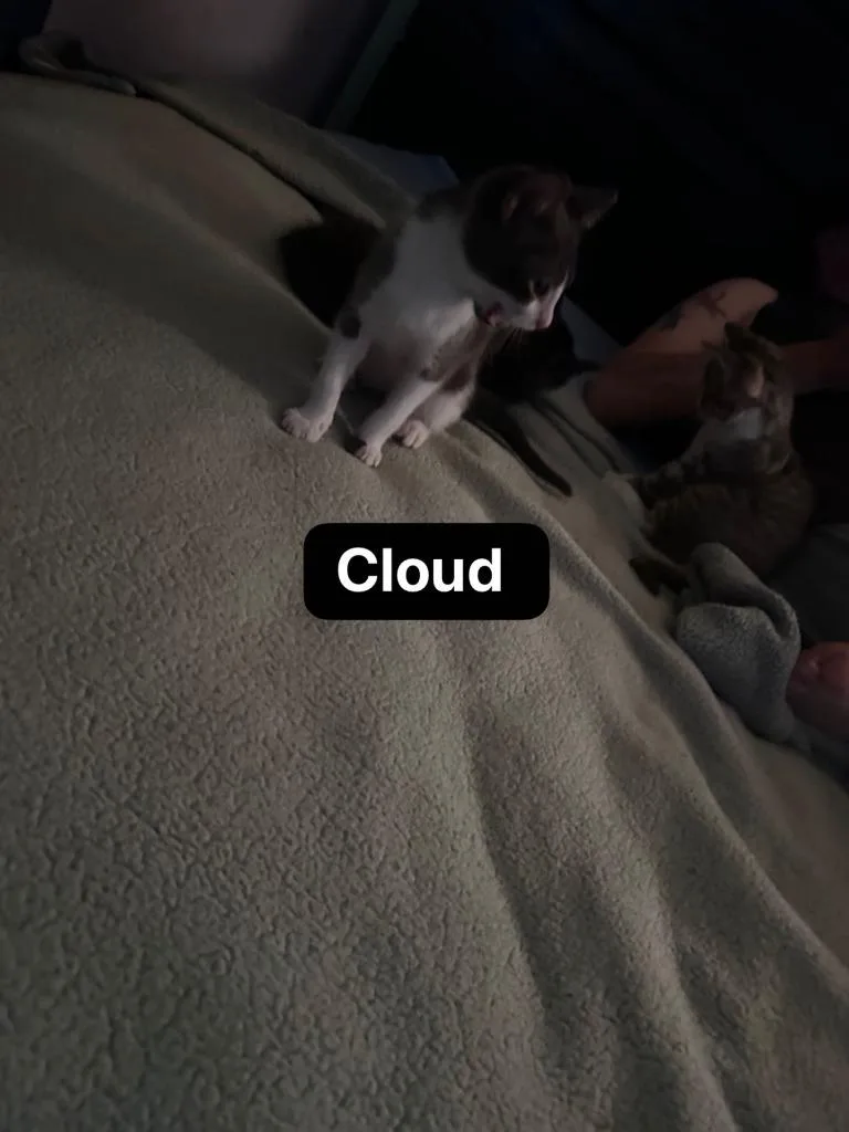 Cloud thumbnail 4