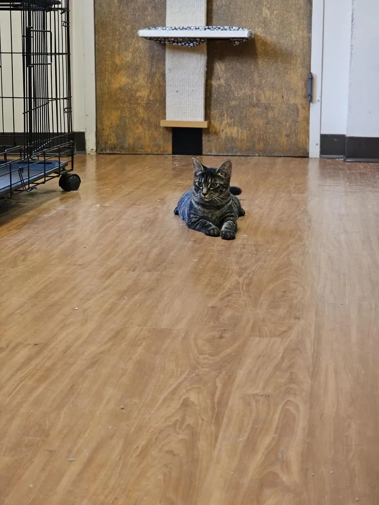 Caroline thumbnail 2