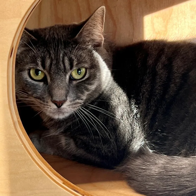 Minion "mini" thumbnail 5