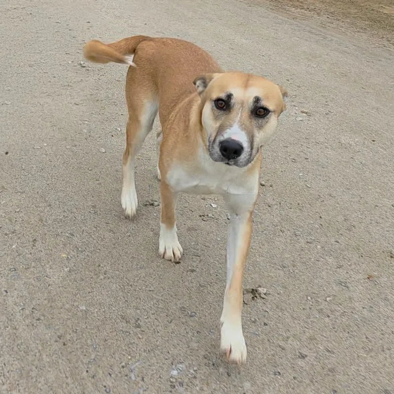 Amiee Quinn thumbnail 2