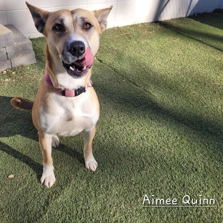 Amiee Quinn thumbnail 3