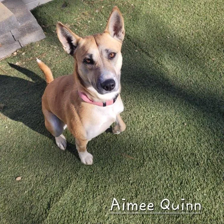 Amiee Quinn thumbnail 4