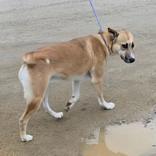 Amiee Quinn thumbnail 5