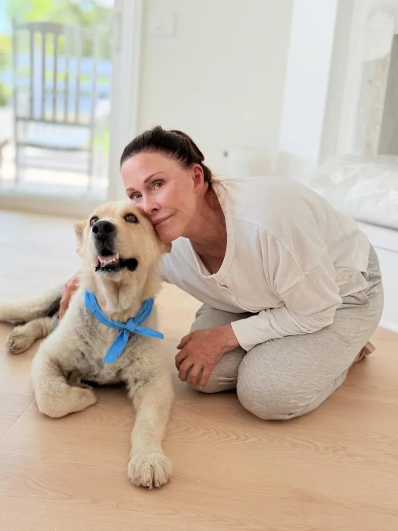 A senior large-sized male White / Cream Mixed Breed dog named Scout for adoption in Thousand Oaks, CA