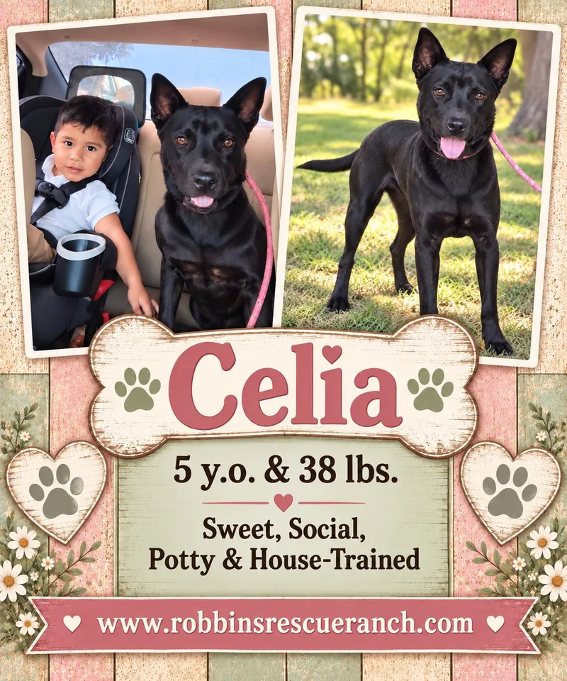 Sweet Celia