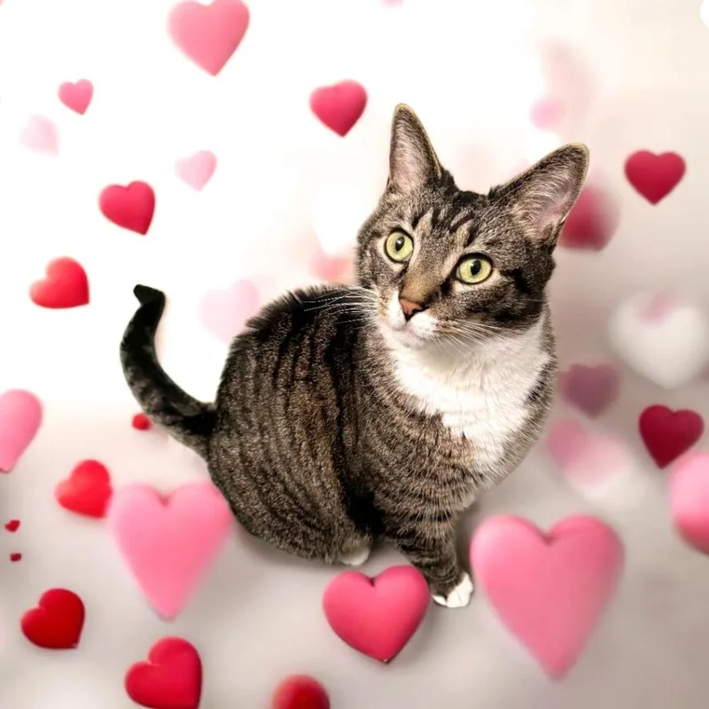 Little Man thumbnail 2