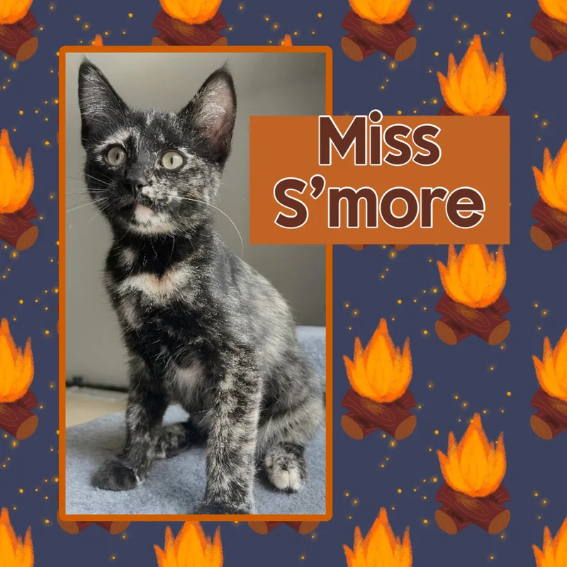 Smores