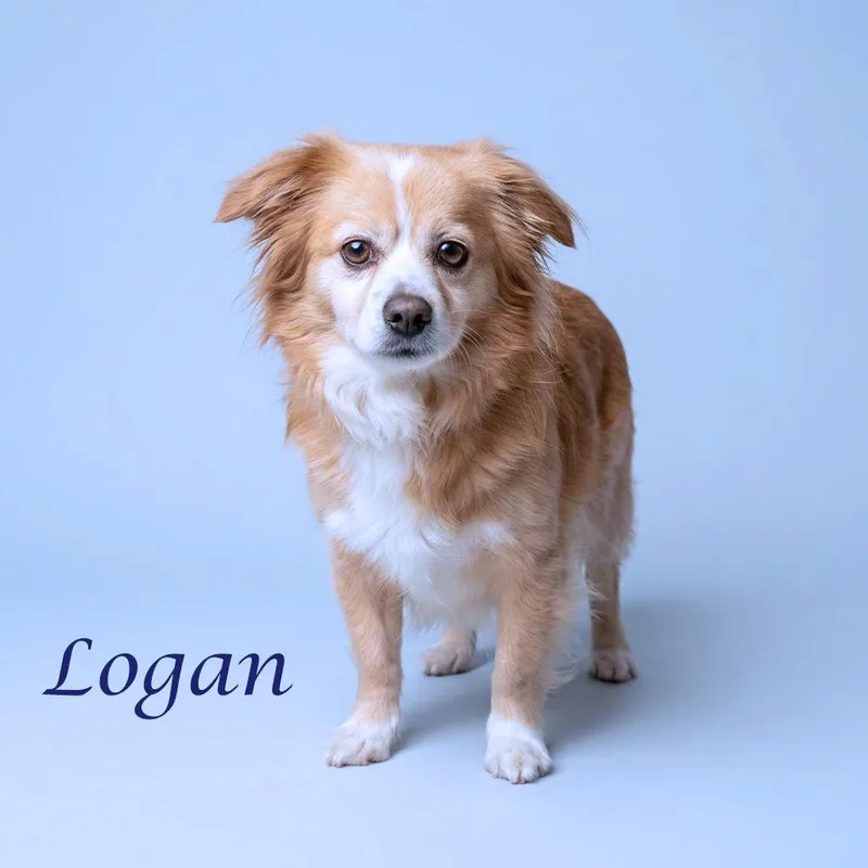 Logan D thumbnail 2