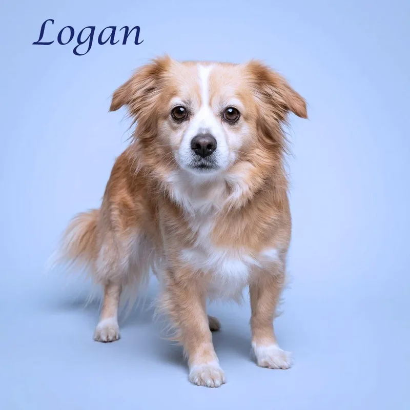 Logan D thumbnail 3