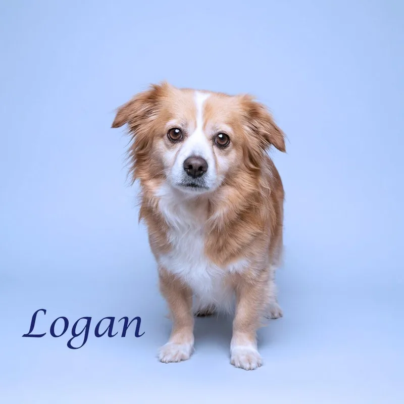 Logan D thumbnail 5