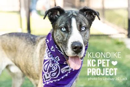 Klondike thumbnail 2