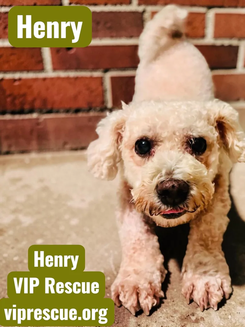 Henry  Holiday thumbnail 2