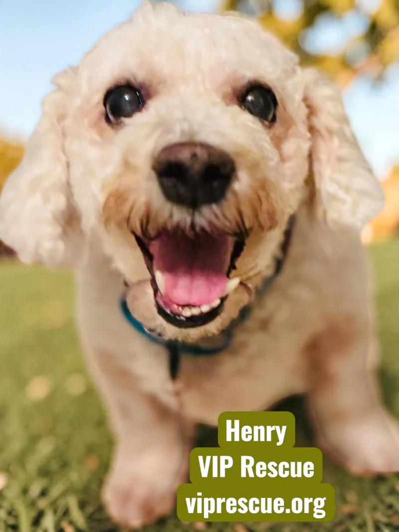 Henry  Holiday thumbnail 5