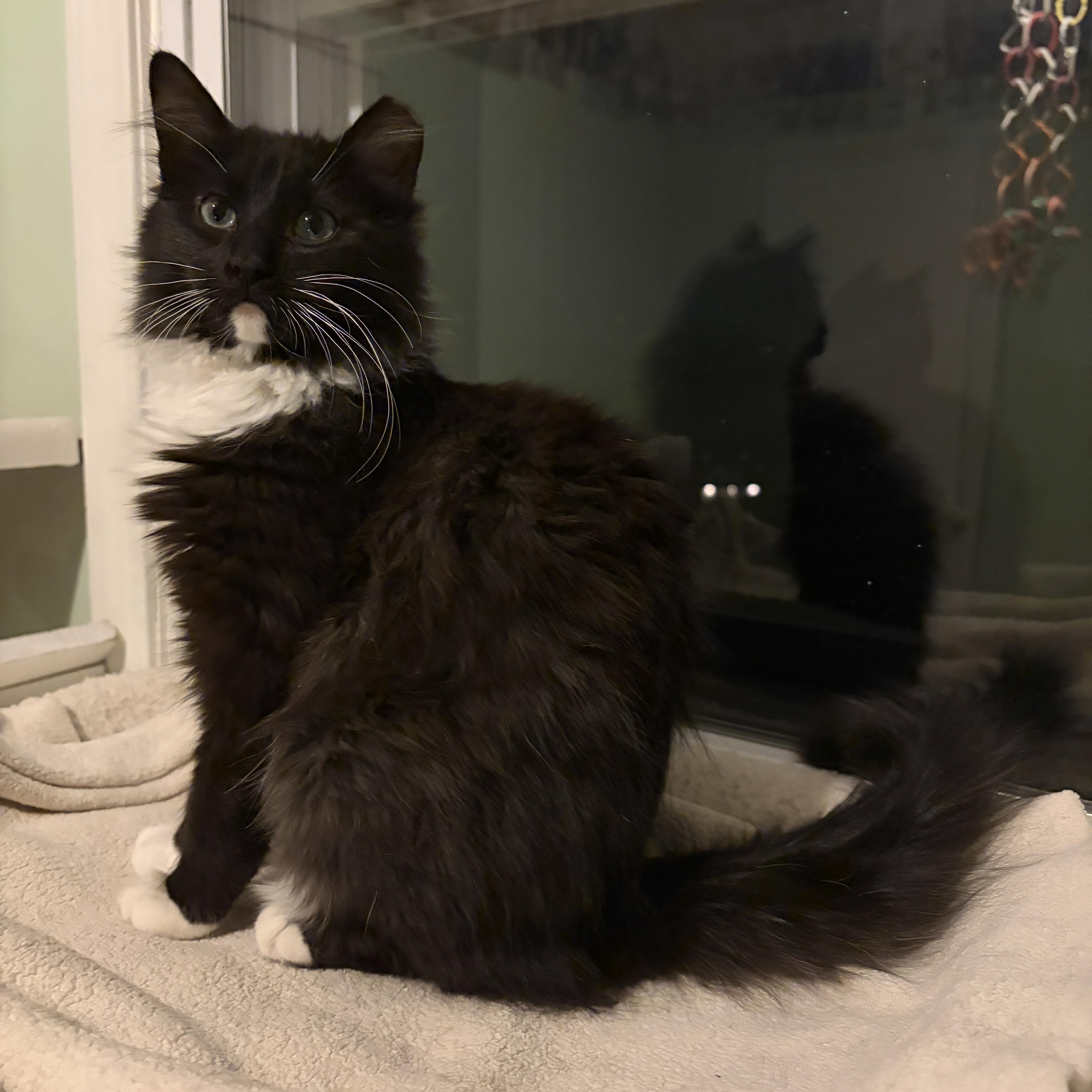 Steve And Robin thumbnail 3