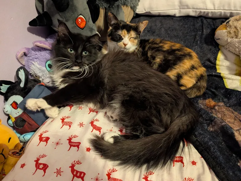 Steve And Robin thumbnail 4