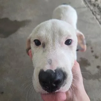 Casper thumbnail 2