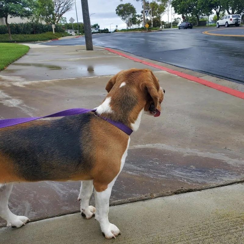 Mable thumbnail 2