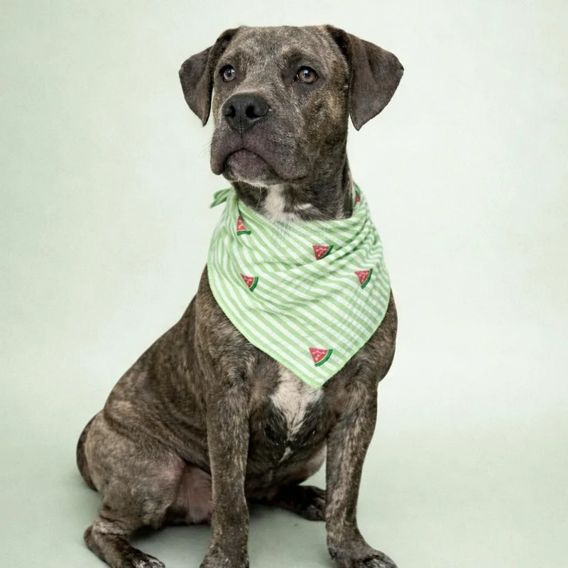 Jamie Foxx thumbnail 3