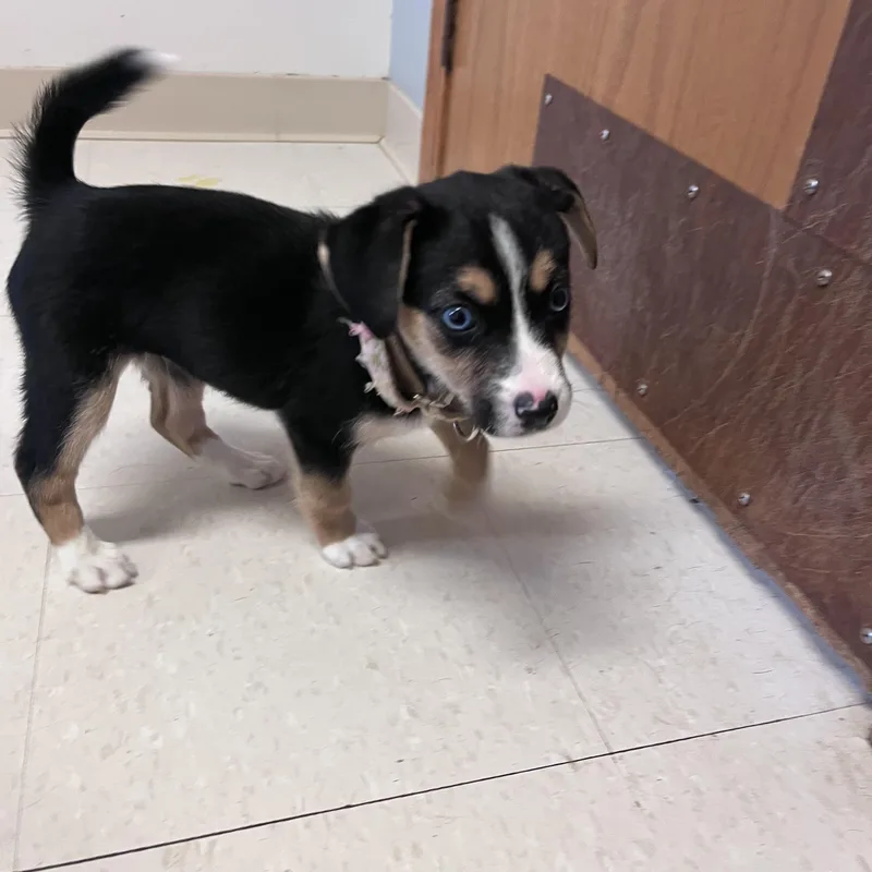 Carmello At Prison Program