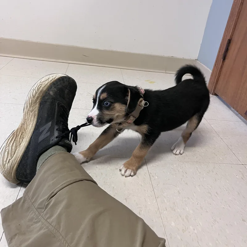 Carmello At Prison Program thumbnail 3