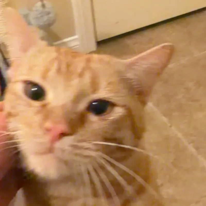 Puff thumbnail 5