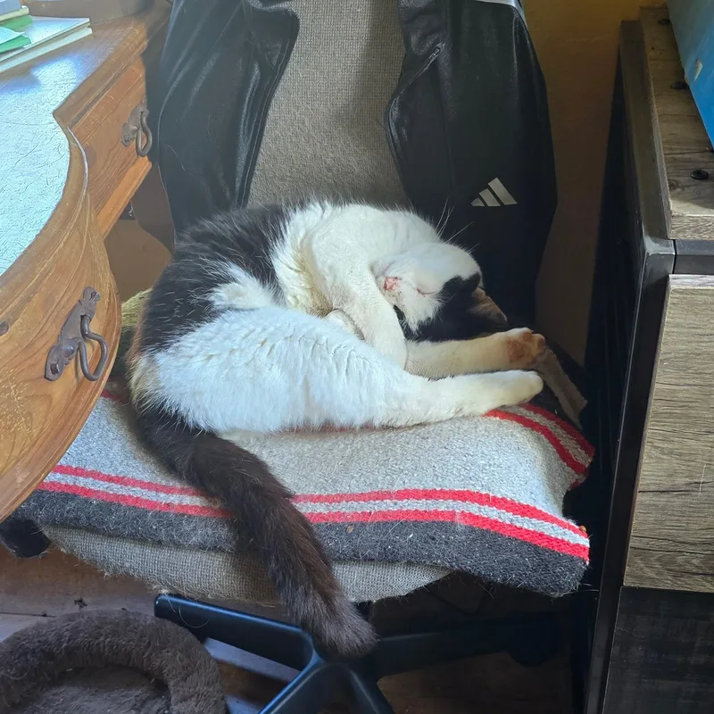 Tux
