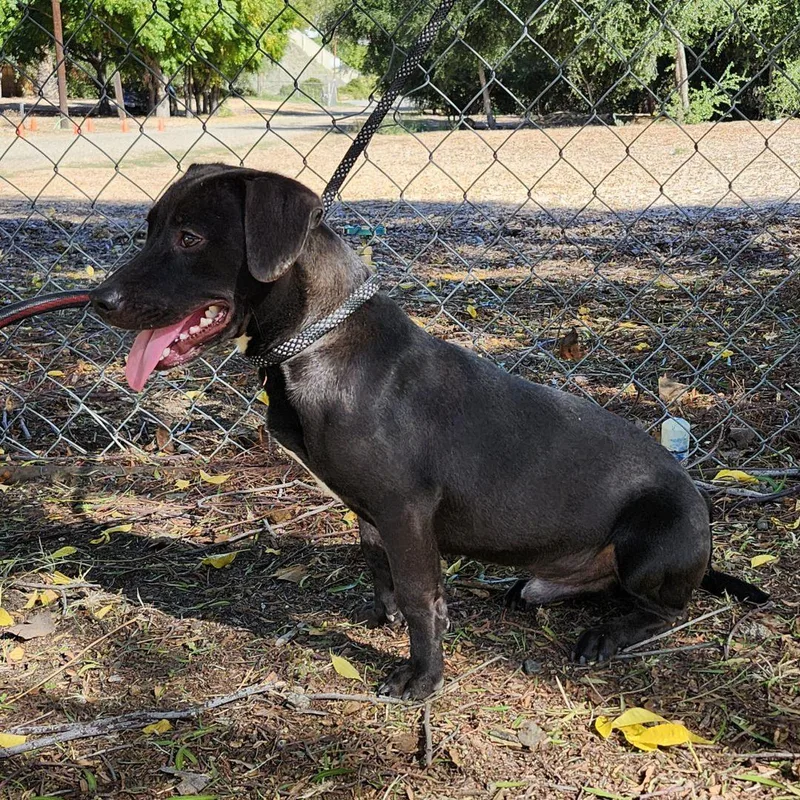 Lil John thumbnail 2