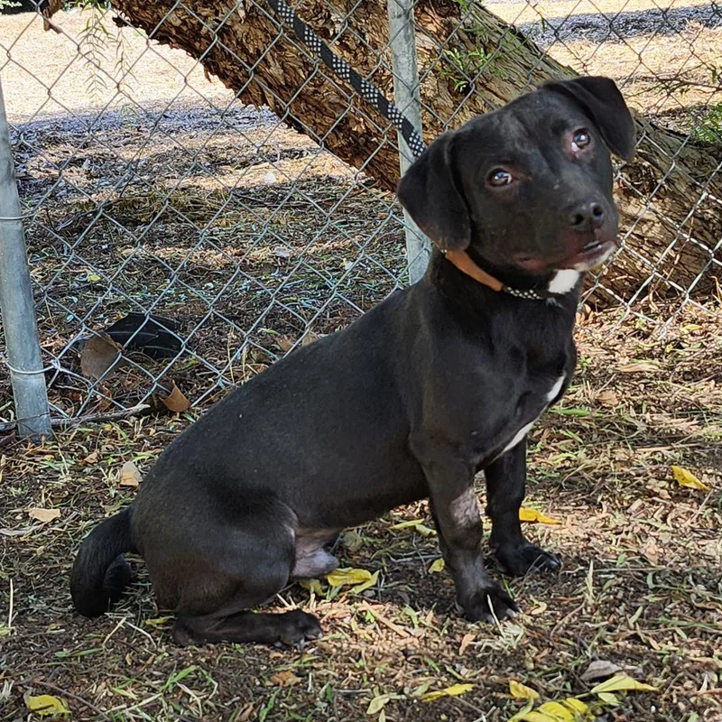 Lil John thumbnail 4