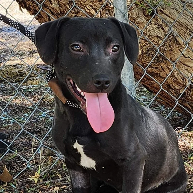 Lil John thumbnail 5